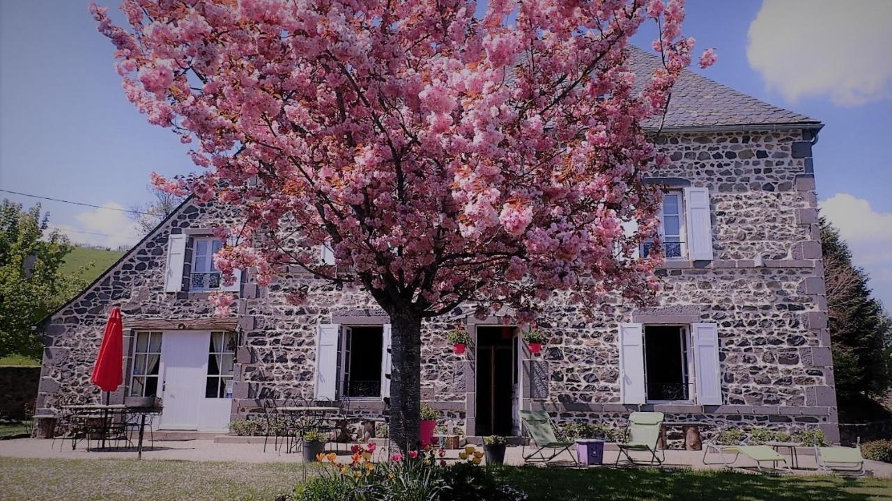 Maison D'Hotes La Nichee Rochefort-Montagne エクステリア 写真