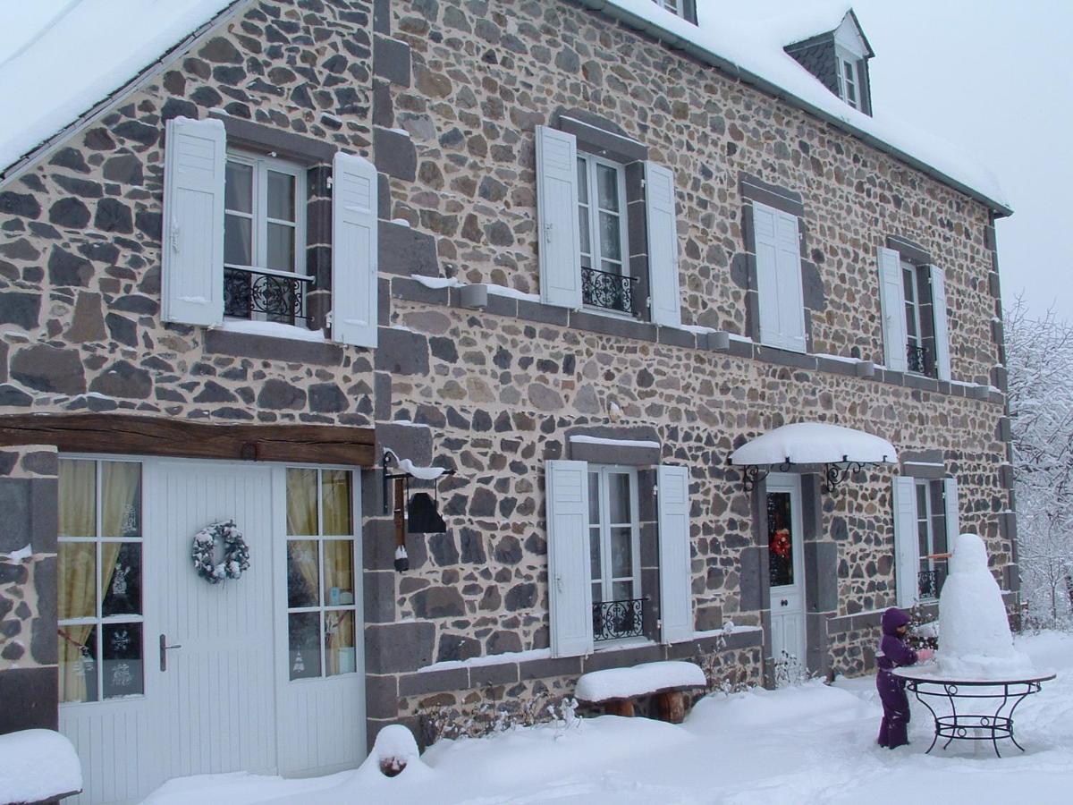 Maison D'Hotes La Nichee Rochefort-Montagne エクステリア 写真